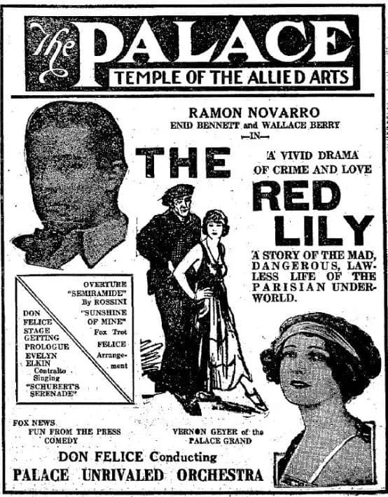 The Red Lily photo