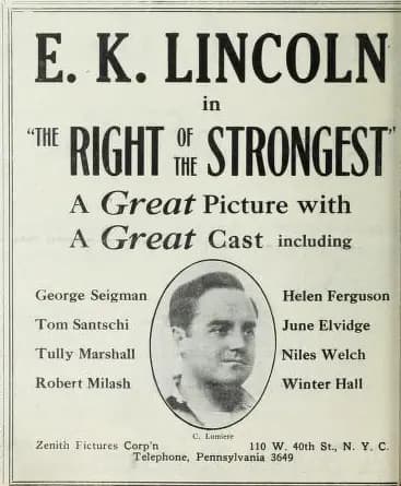 The Right of the Strongest photo