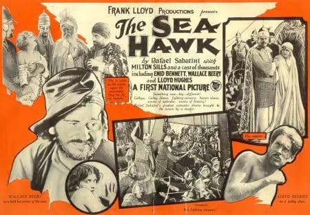 The Sea Hawk