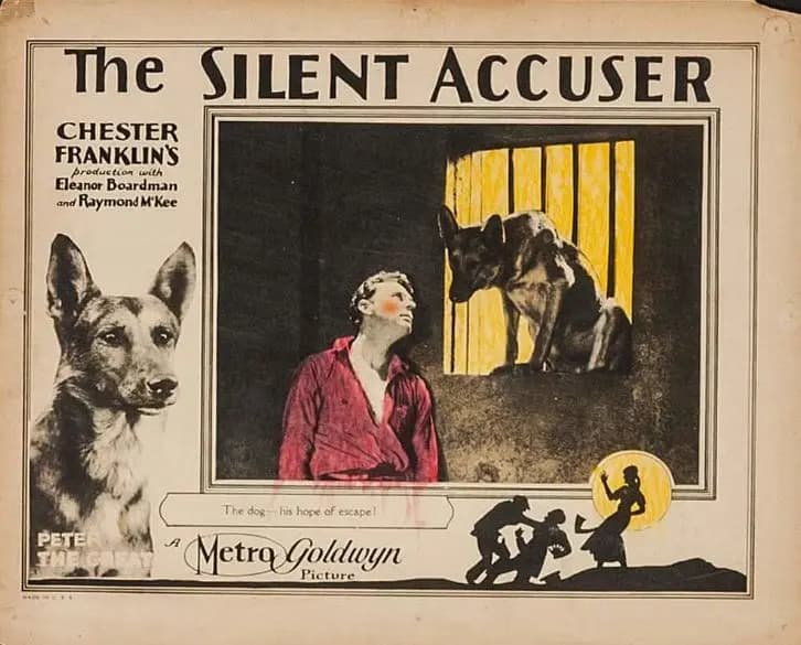 The Silent Accuser photo