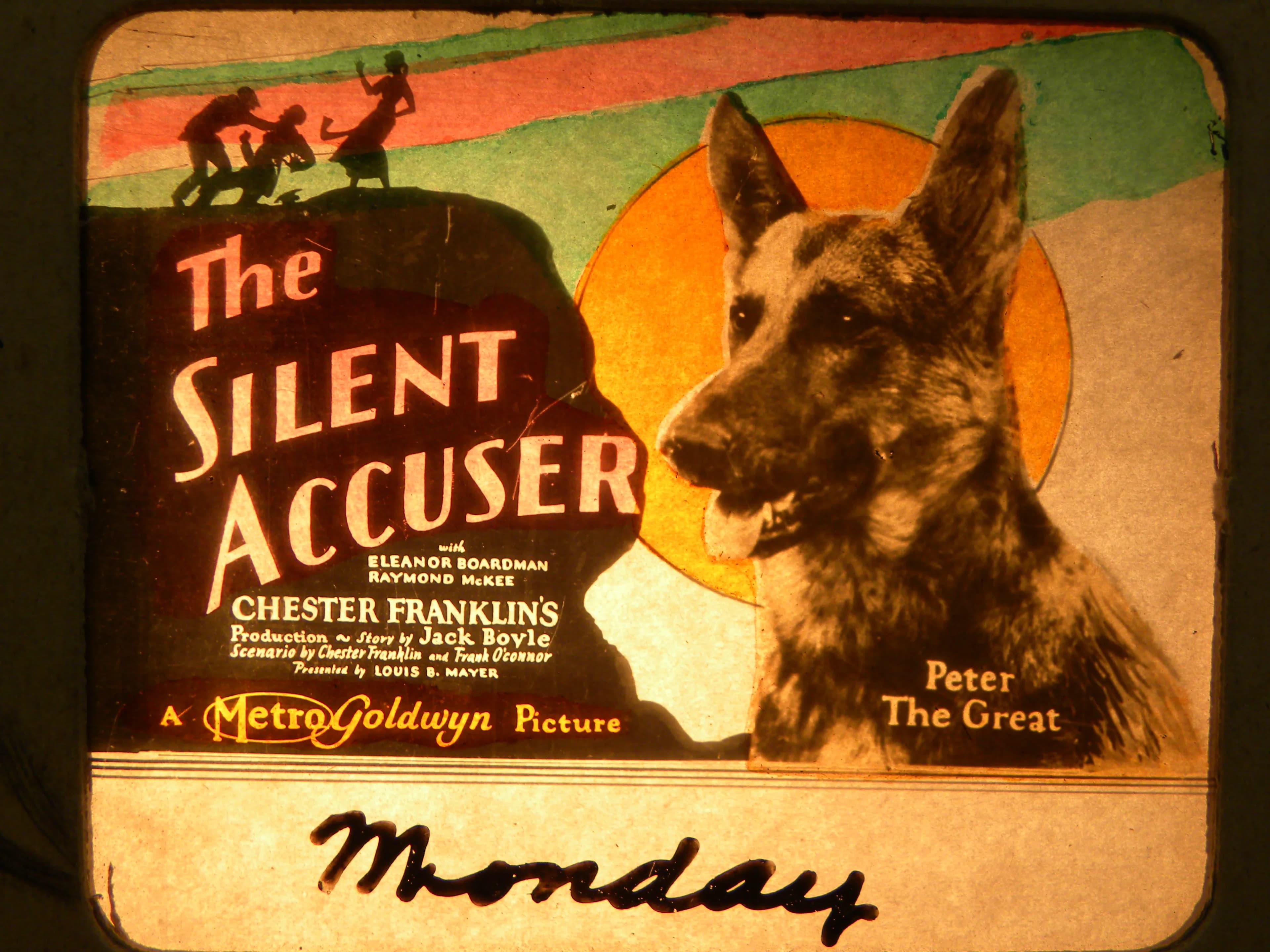 The Silent Accuser photo