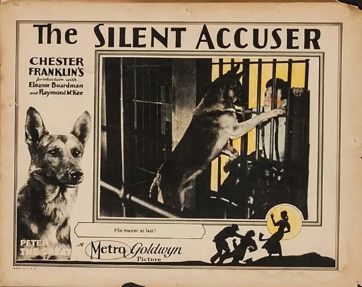 The Silent Accuser photo