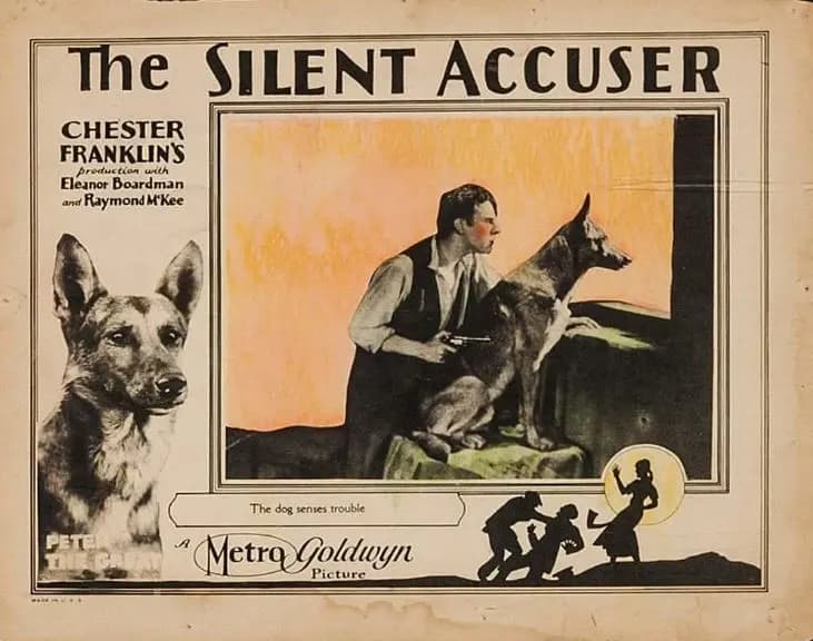 The Silent Accuser photo