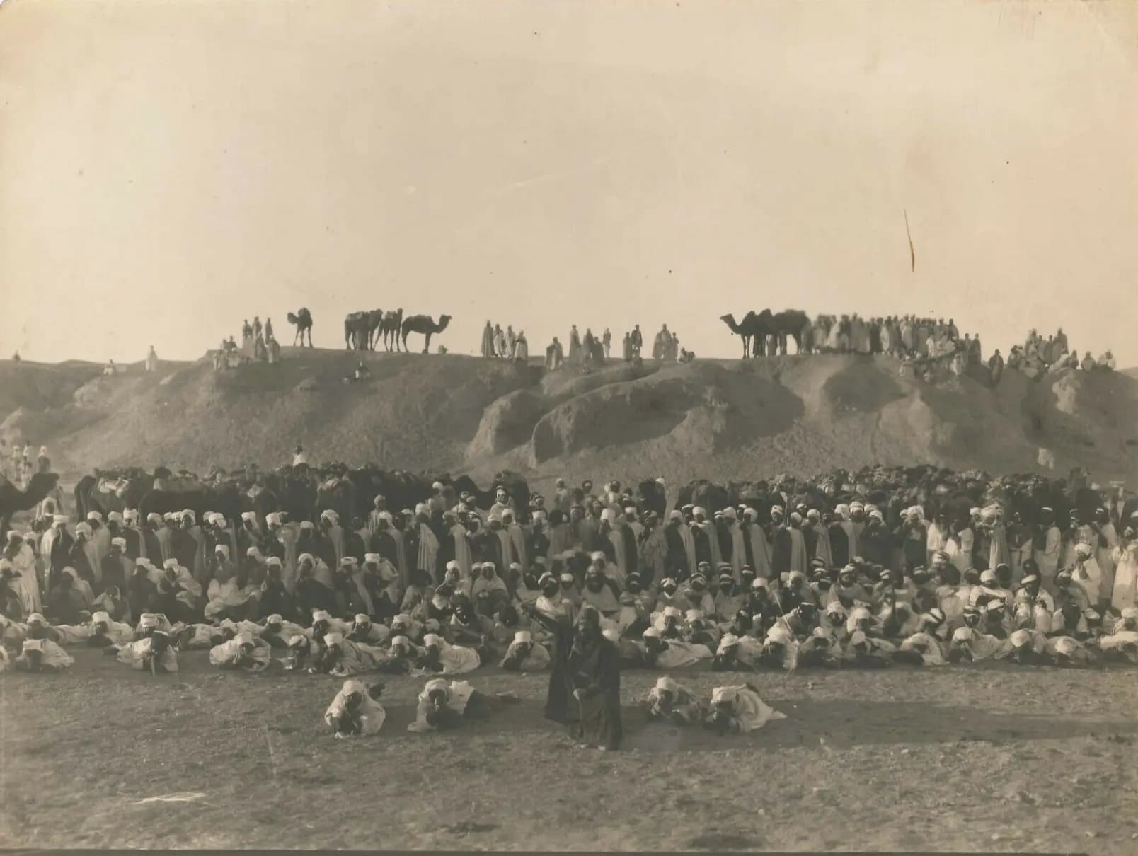 A Son of the Sahara photo