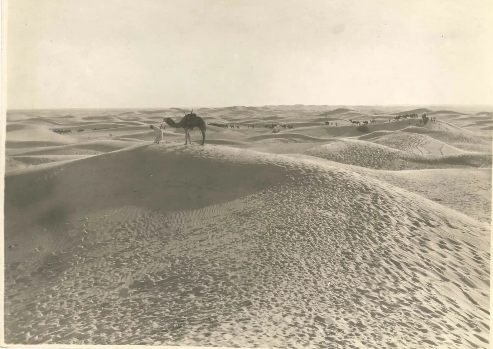 A Son of the Sahara