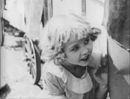 The Sun Down Limited photo