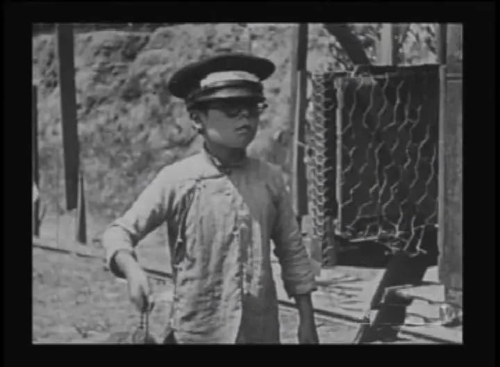 The Sun Down Limited photo