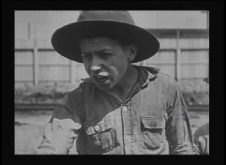 The Sun Down Limited photo