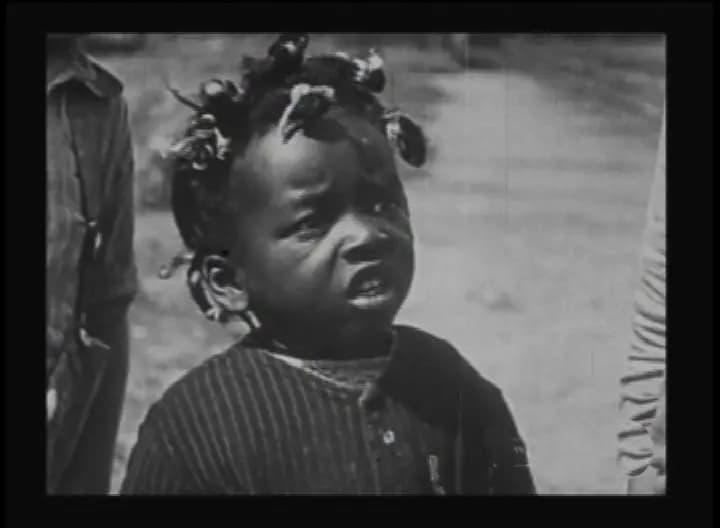 The Sun Down Limited photo