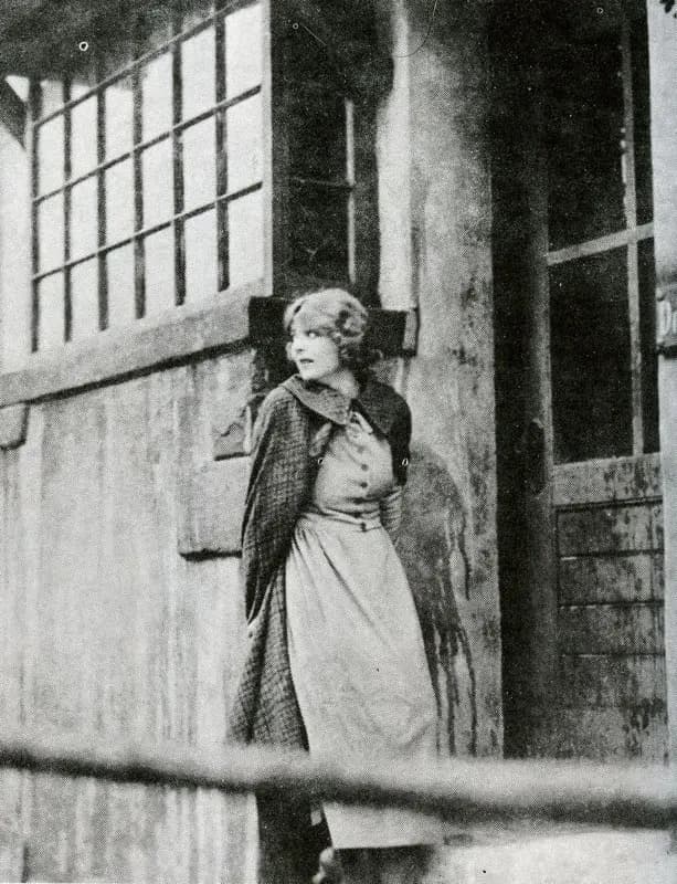 Tess of the D'Urbervilles photo