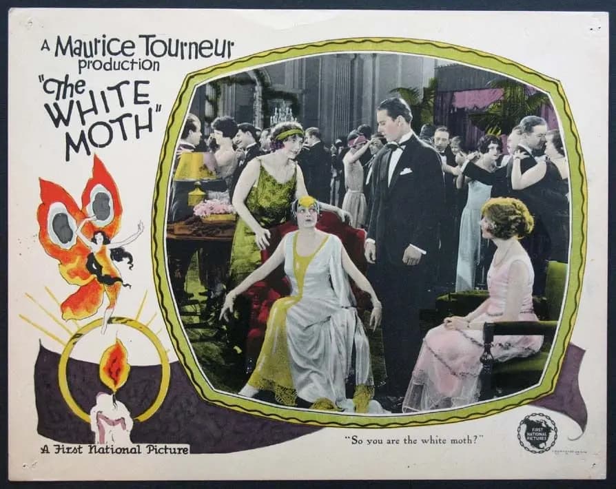 The White Moth photo