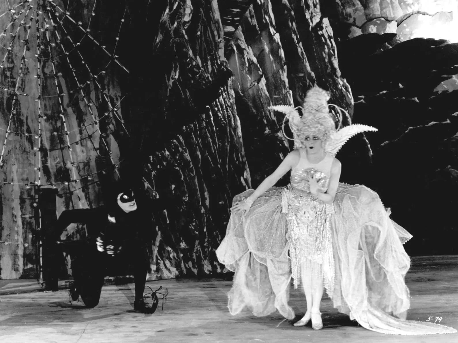The White Moth photo