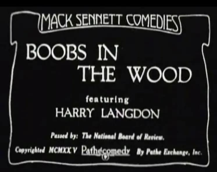 Boobs in the Wood photo