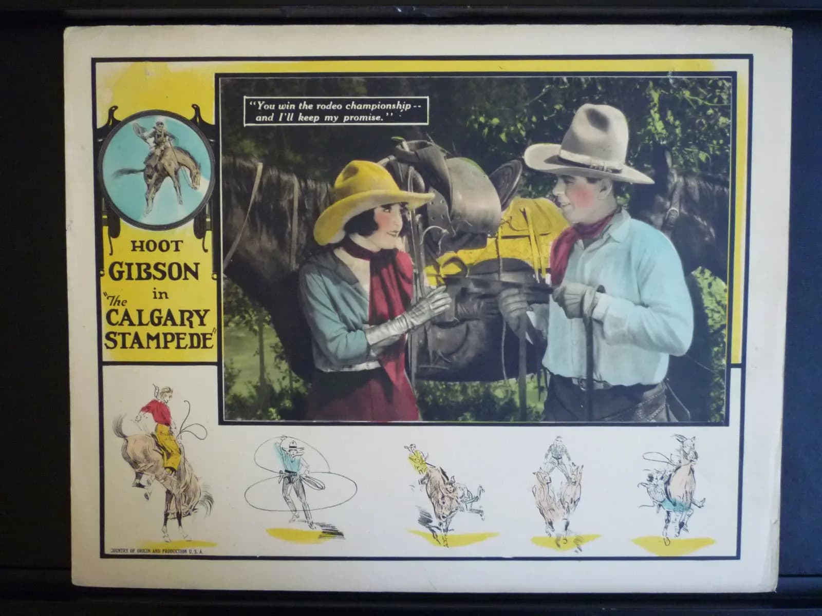The Calgary Stampede