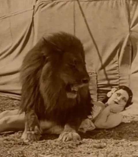 Circus Today