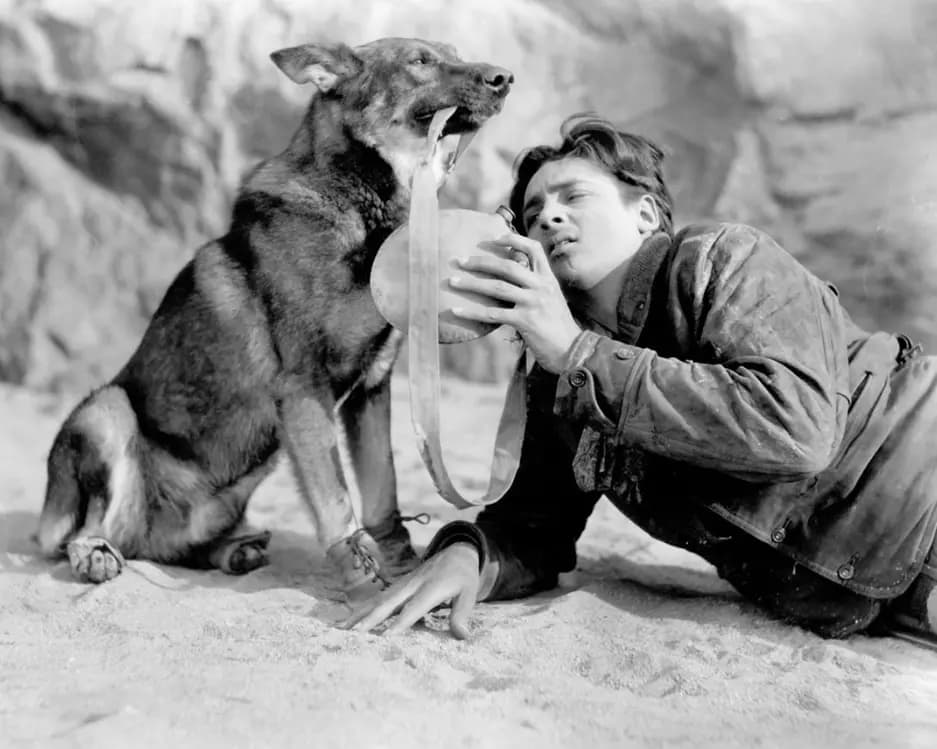 Clash of the Wolves photo