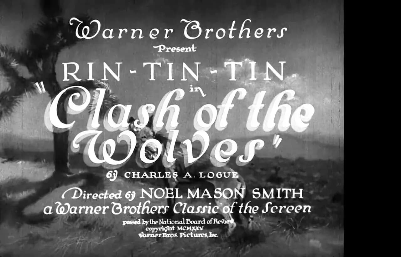 Clash of the Wolves