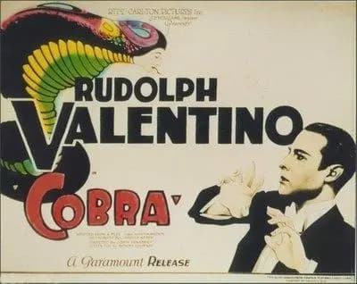 Cobra photo