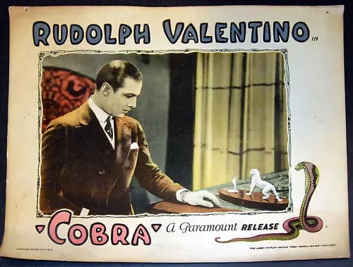 Cobra photo