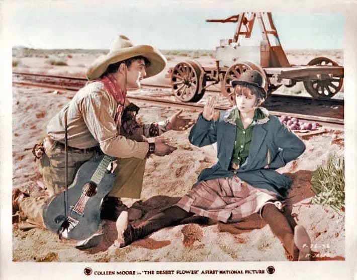The Desert Flower photo