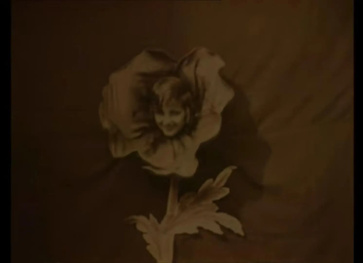 Flor de espino photo