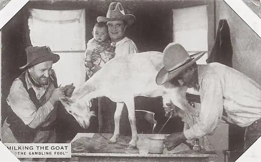 The Gambling Fool photo