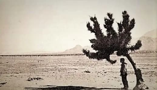 Go West photo