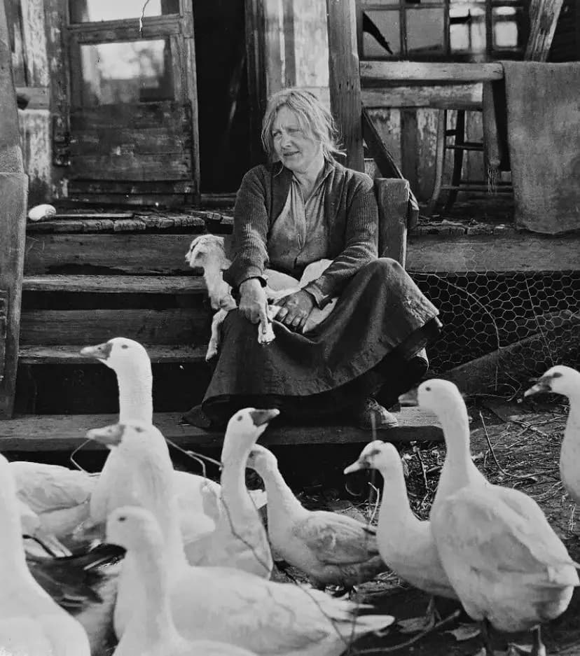 The Goose Woman photo