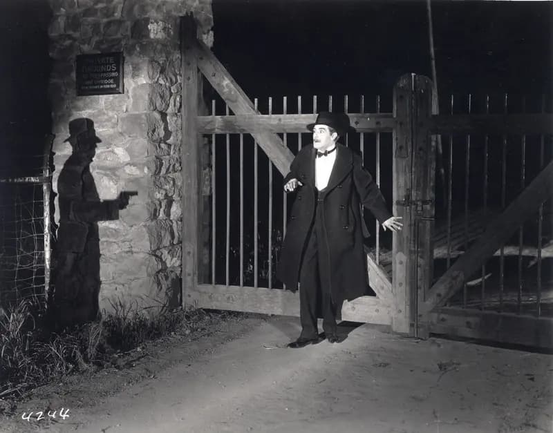 The Goose Woman photo