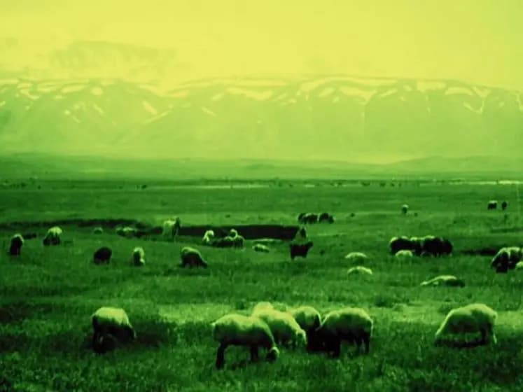 Grass: A Nation's Battle for Life photo