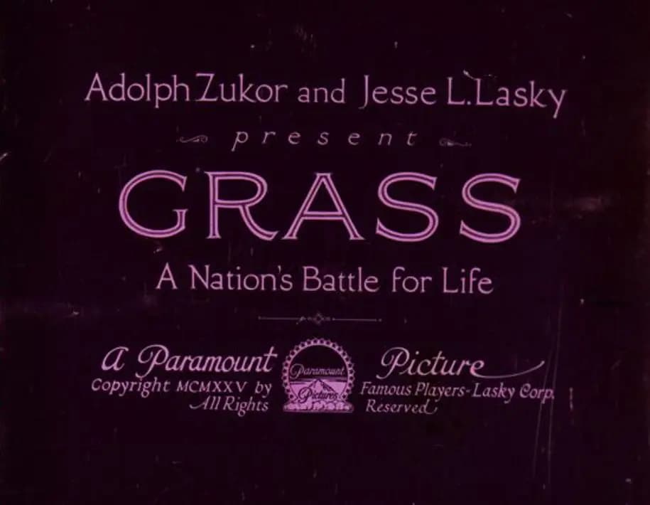 Grass: A Nation's Battle for Life photo