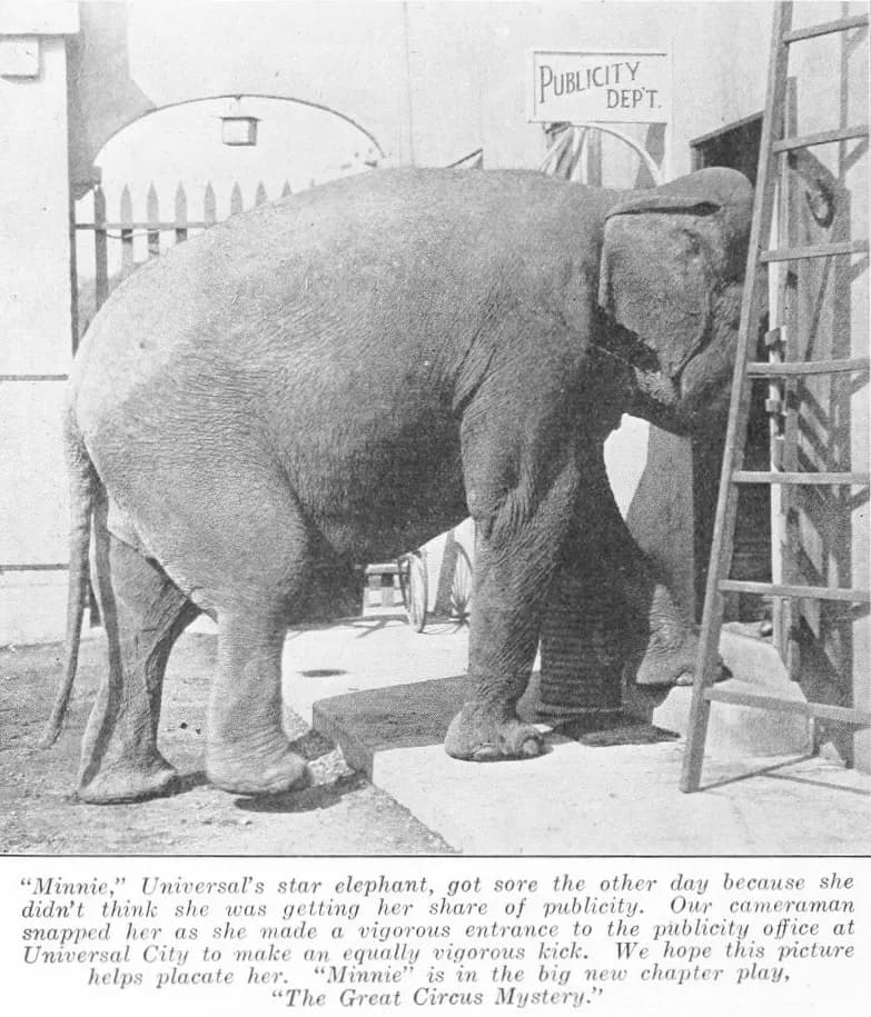 The Great Circus Mystery photo