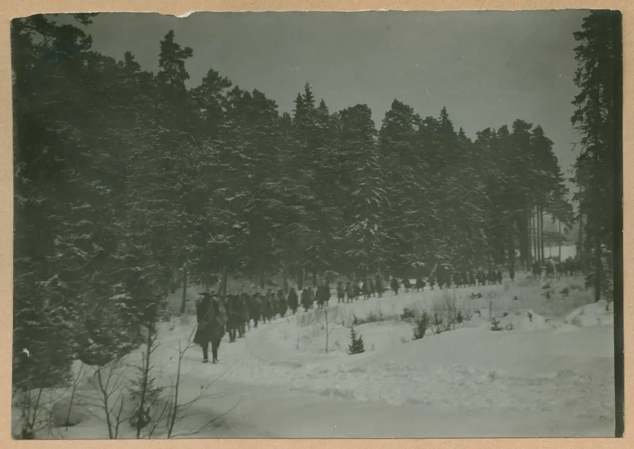 Charles XII photo