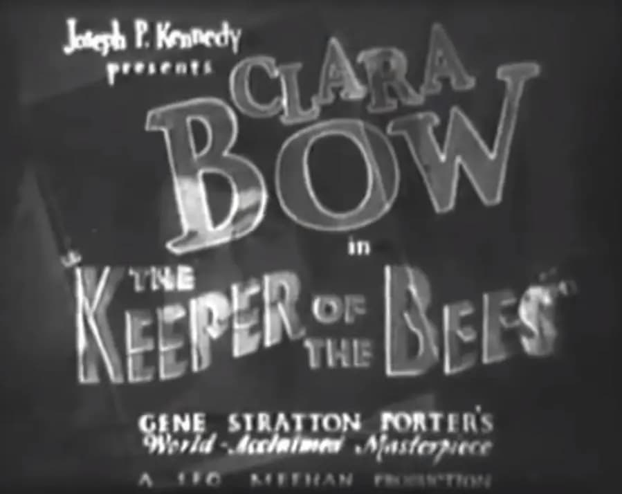 The Keeper of the Bees photo