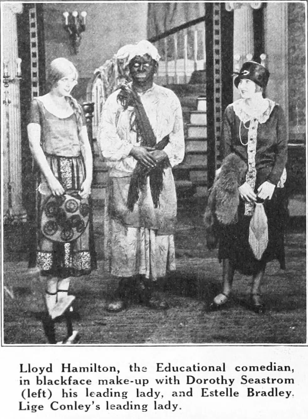 King Cotton photo