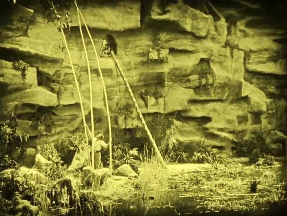 The Lost World photo