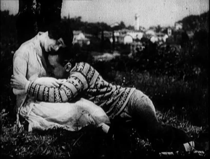 The Pleasure Garden photo