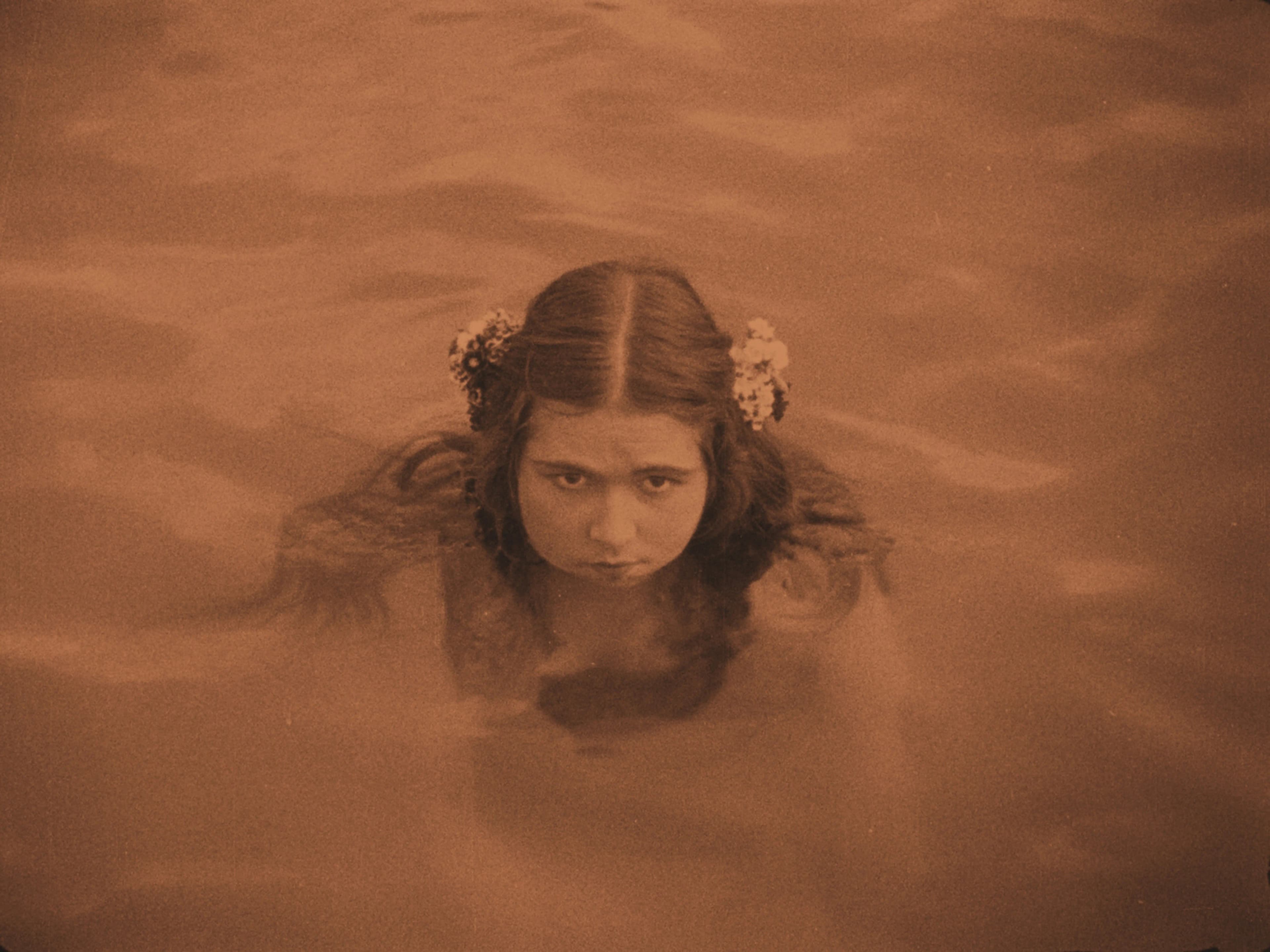 The Pleasure Garden photo