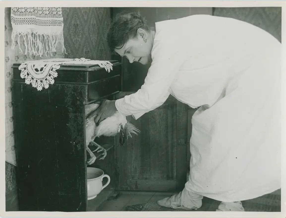Skärgårdskavaljerer photo