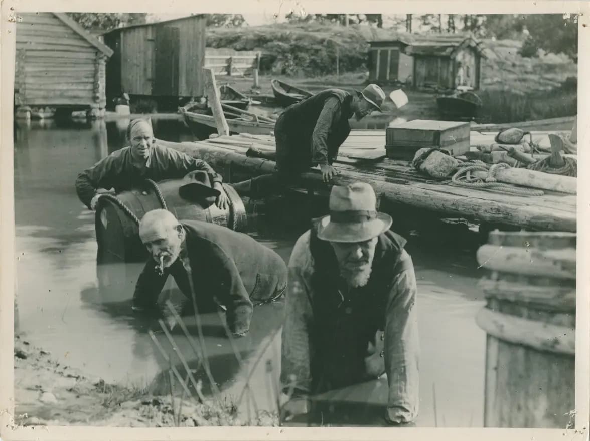 Skärgårdskavaljerer photo