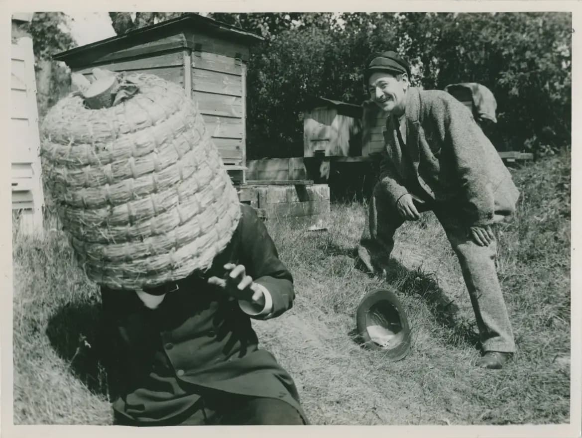 Skärgårdskavaljerer photo