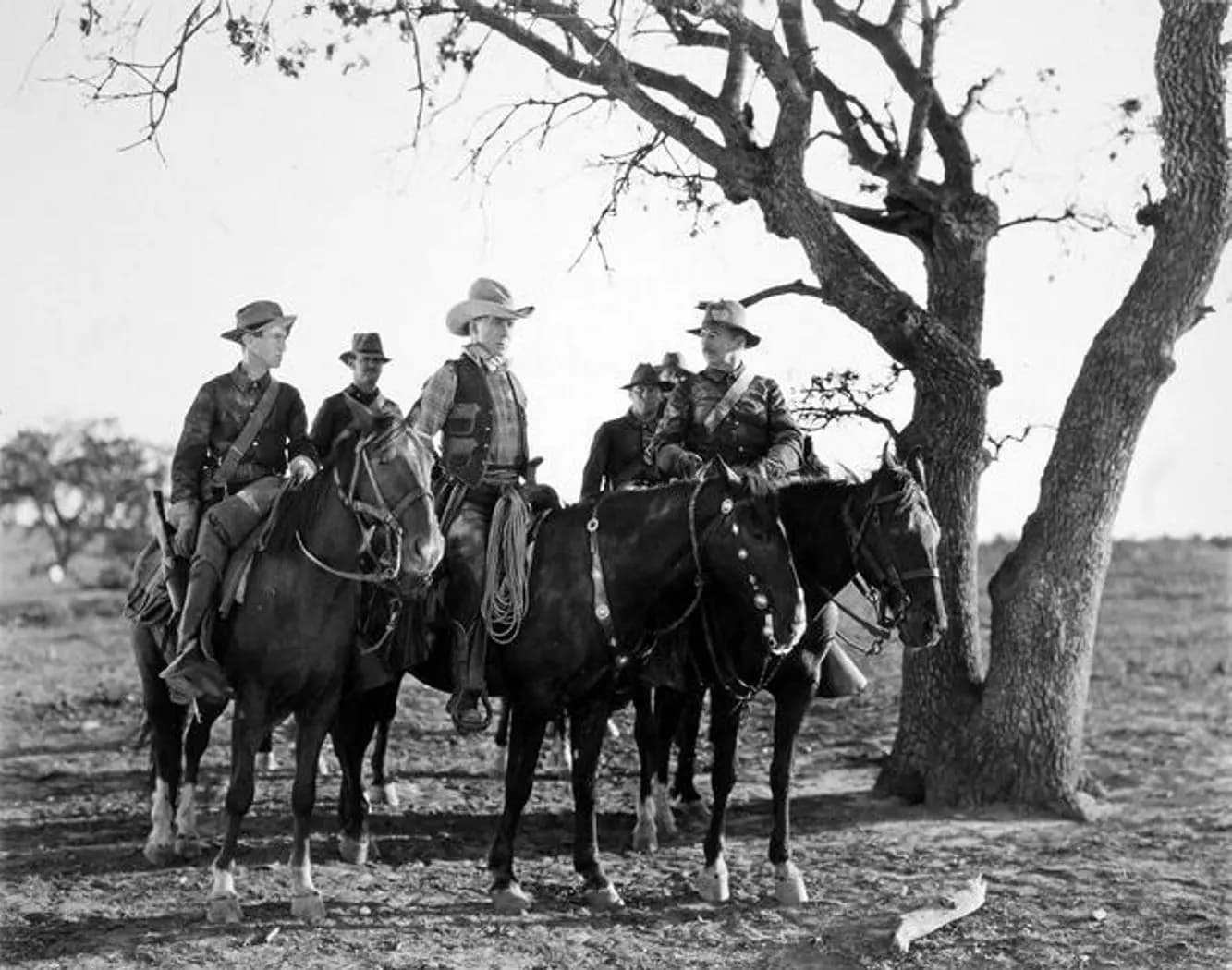 Tumbleweeds photo
