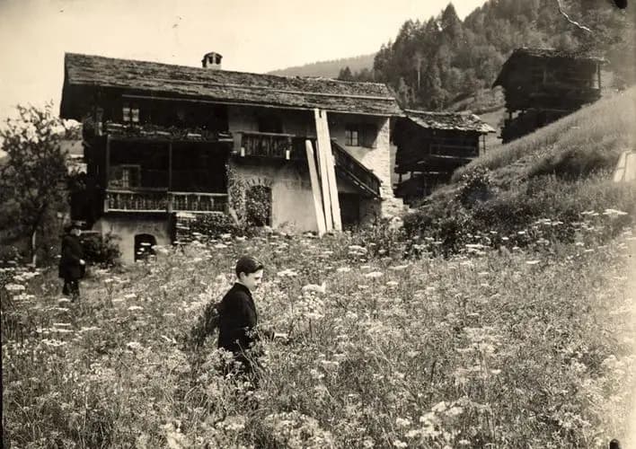 Mother photo