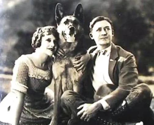 White Fang photo