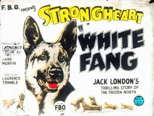 White Fang photo