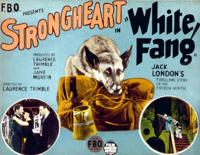 White Fang photo