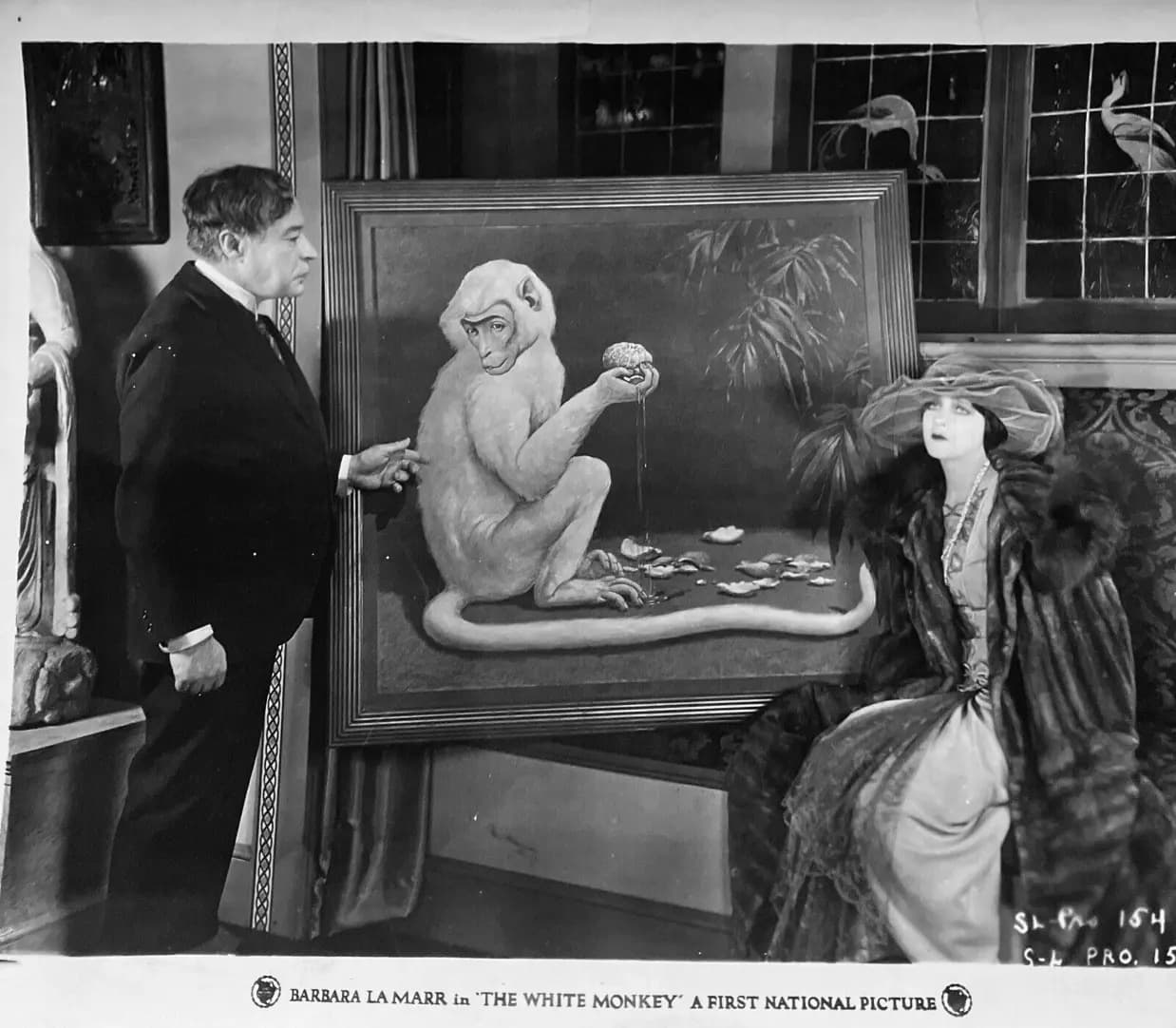 The White Monkey photo