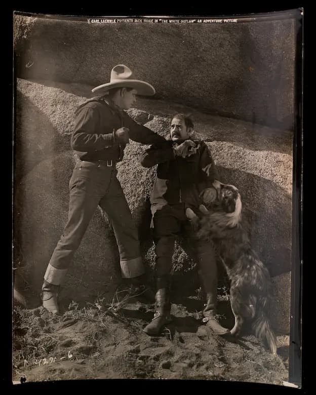 The White Outlaw photo