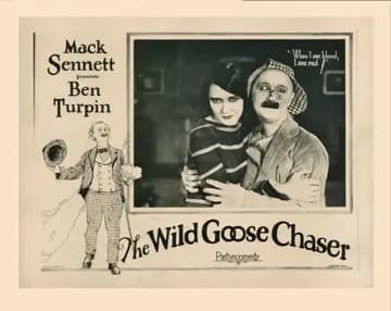 The Wild Goose Chaser