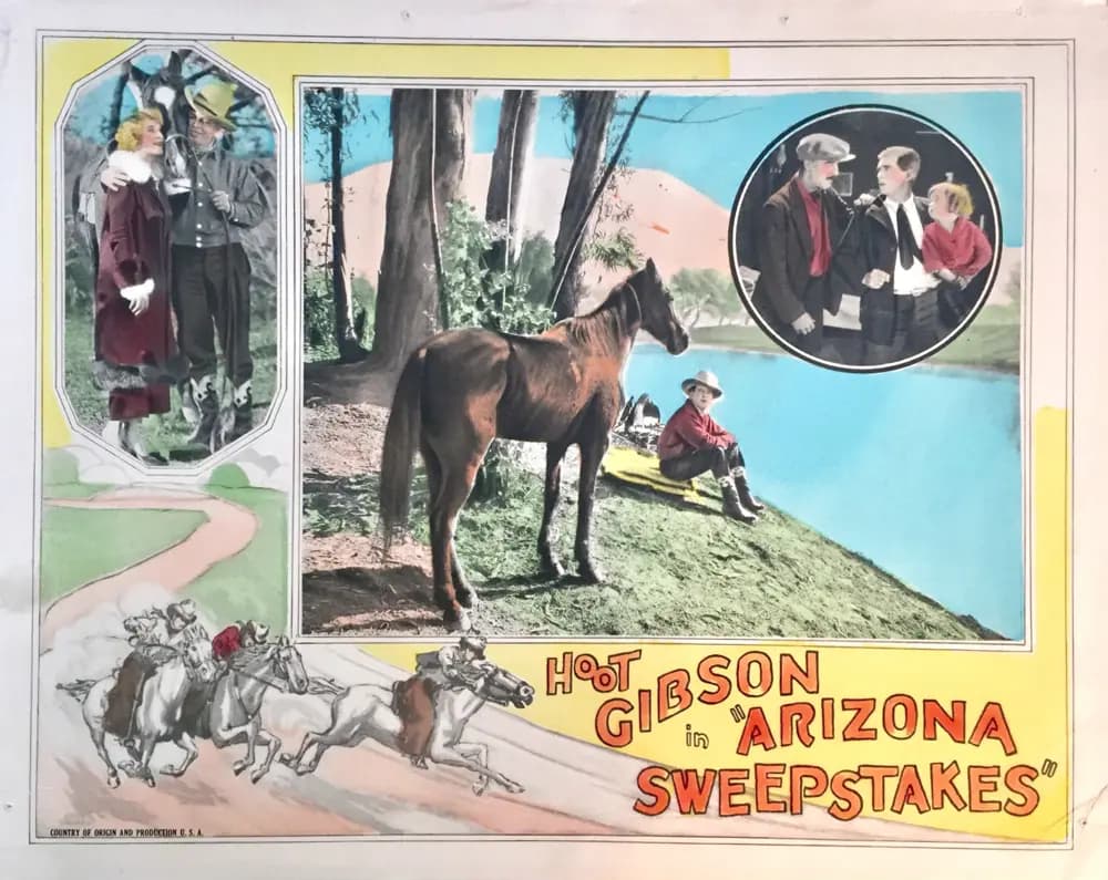 Arizona Sweepstakes